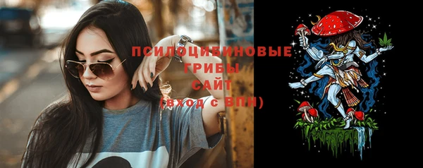 сатива Заводоуковск