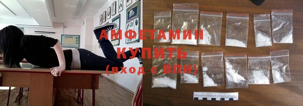 сатива Заводоуковск