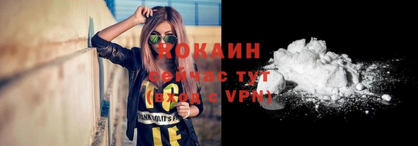 сатива Заводоуковск