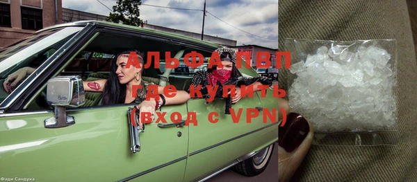 сатива Заводоуковск
