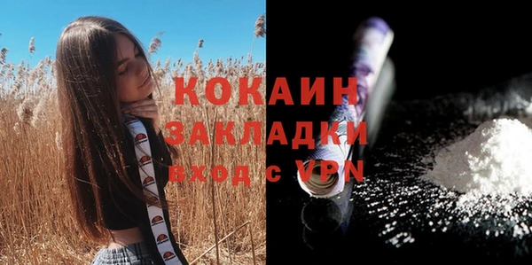 сатива Заводоуковск