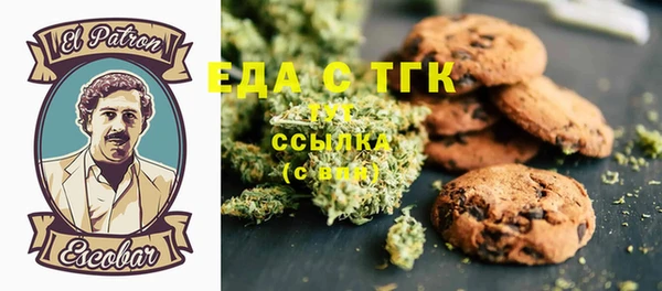 СК Елизово