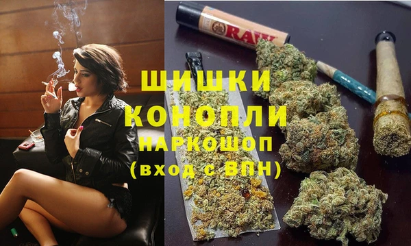 сатива Заводоуковск