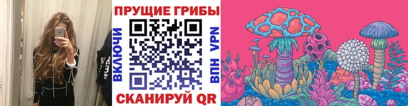 Галлюциногенные грибы Magic Shrooms  Плавск 